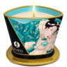 Массажное аромамасло для тела SHUNGA ISLAND BLOSSOMS (ОСТРОВ ЦВЕТОВ) 4524DESC